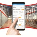 자동축산 이미지