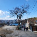 방배선행길 12 이미지