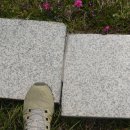 화합의분수 이미지