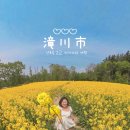 묘목커피숍 | 일본 렌트카 여행 홋카이도 삿포로 근교 소도시 타키카와 당일치기 코스