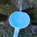 약진로변 이미지