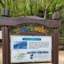도음산 유아숲체험원 이미지
