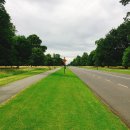 종일사슴 이미지