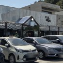 카페밥스 | 강릉 카페 갤러리밥스 메뉴 토요일 웨이팅 초당옥수수커피 후기