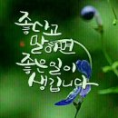 행복한 아침 이미지