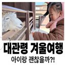 정읍천이동화장실9 | 대관령 겨울 아이랑 가볼만한곳 ㅣ차로 이동 가능한 삼양라운드힐 후기