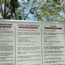 마젤란 | 코타키나발루 숙소 더 퍼시픽 수트라 호텔 + 마젤란 수트라 수영장 비교 후기