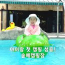 퍼니감성놀이연구소 | 가평 숲에 캠핑장 솔직후기 | 애견동반 수영장 개울놀이 까지 첫 캠핑 추천