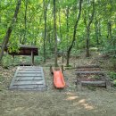 초부리유아숲체험원 이미지