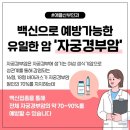 애플 산부인과 부산서면점