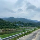 파주골토박이순두부 이미지