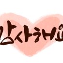 [디지털문해] 디지털문해교육전문지도사 2급 이미지