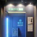 달리아에스테틱(신촌점)