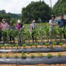 요셉농장2 이미지