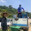 달월 낚시터 이미지