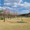 삼지수변공원 | 영양군파크골프장 예약방법·이용요금·운영시간(삼지수변공원) — 출발 전 필독.