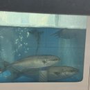 동수역 1번 출구 네이버블로그