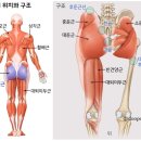 유토피아테라피 이미지