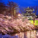 2024년 3월 25일 일본 큐슈의 벚꽃과 우레시노 올레길/료칸 5일. 마감 이미지