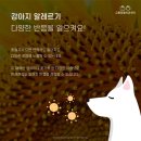 금릉동물의료센터 네이버블로그