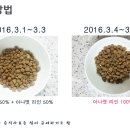 리인프리 이미지