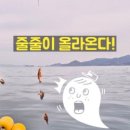 바다풍경펜션도시어부 이미지
