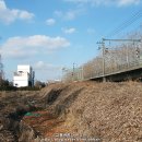 매화초등학교(17162) 이미지