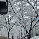 퇴계원힐스단지내탑 공인중개사사무소 이미지