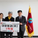 대양전자