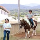 천북초등학교 이미지