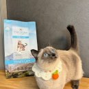 심바앤레오 | 비만냥이 모여라~ 뚱냥이를 위한 웨이트 케어 고양이 사료, 오가앤리프!