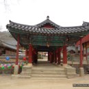 순천-59호 티스토리