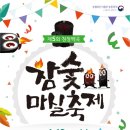 충북 진천-참숯 마실축제 이미지