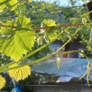 식이요법과 질병 관계 이미지