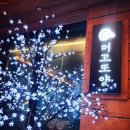 머꼬또양 이미지