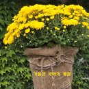 신구대학교 이미지