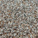 베버리 독스 이미지