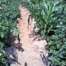 문바위농장 이미지