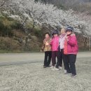승주에코마켓 이미지