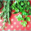 양진한의원 이미지