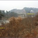 상장1리 이미지