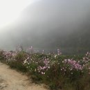 크로바펜션 이미지