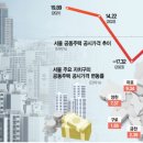 강남-291 이미지