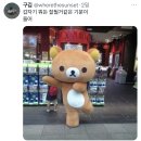 하...윤ㅅㅇ 남은 생을 저 강아띠에게 주고싶다.x(twt) 이미지