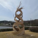 생명의 율동A 이미지