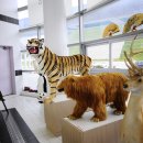 옥계목장 이미지