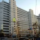 상화북로 이미지