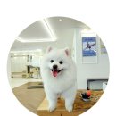 휘턴필라테스 네이버블로그