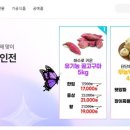 나비 양파즙 이미지