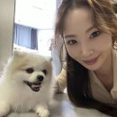 우리집 막둥이 이미지
